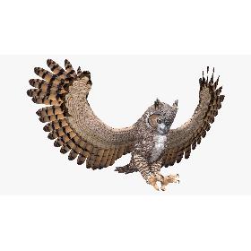 Great Horned Owl Attacking Pose 3D model